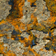 Illustration for article titled Our world had oxygen 700 million years earlier than we thought